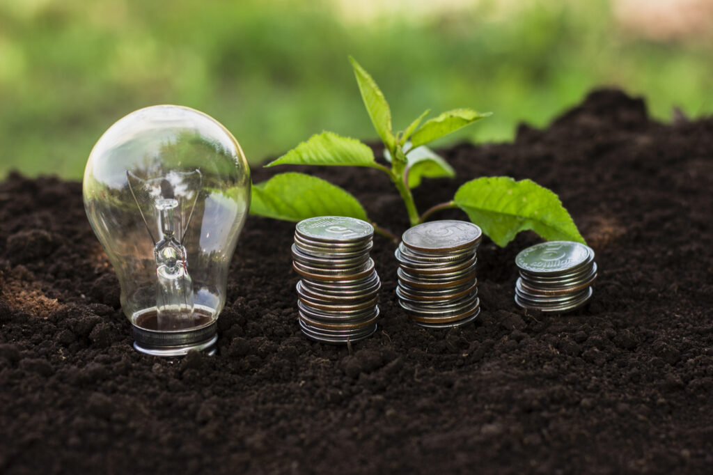 Powering the Green Economy: Innovative Finance Solutions for Renewable Energy